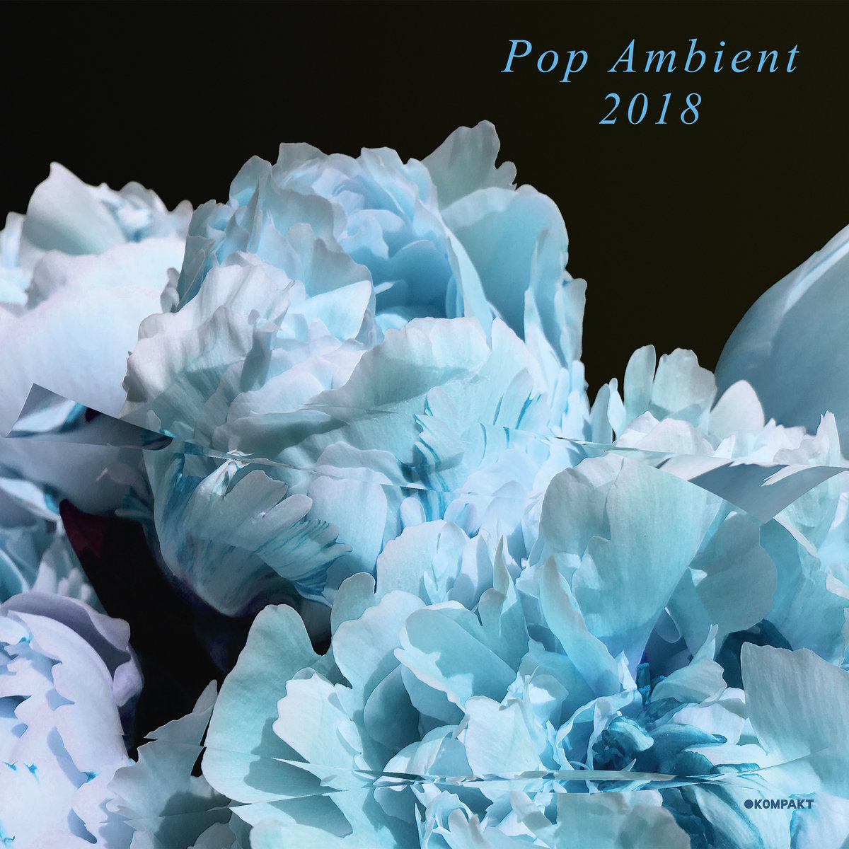 POP Ambient 2018